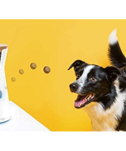 Pet Technology